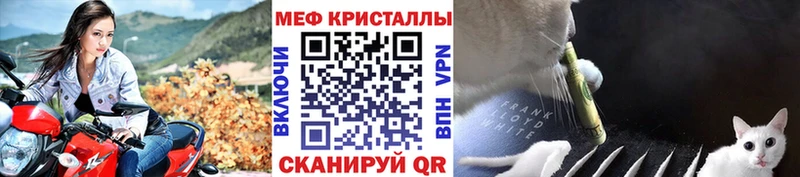 МЯУ-МЯУ мяу мяу  Ухта 
