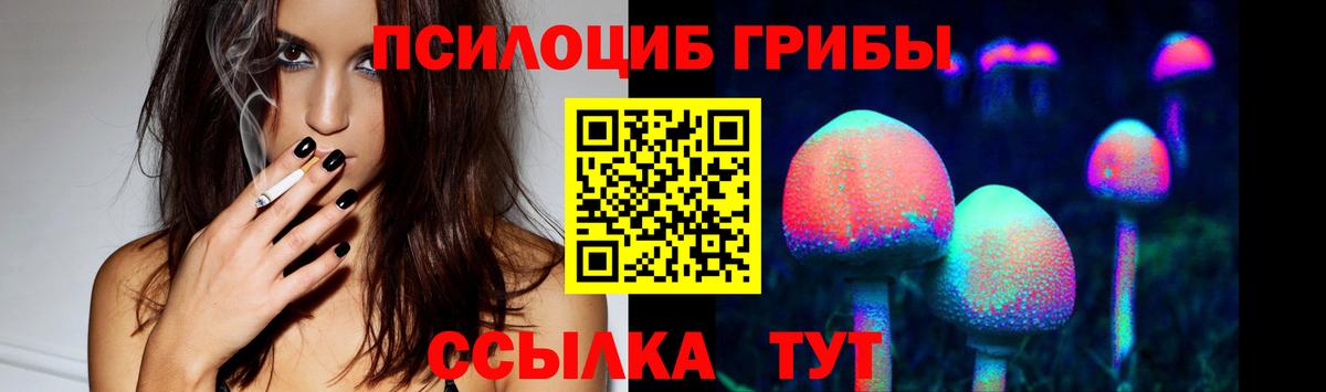 Галлюциногенные грибы Psilocybine cubensis  Вход с VPN  Ухта 